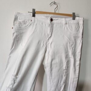 White Ankle Grazer - 37